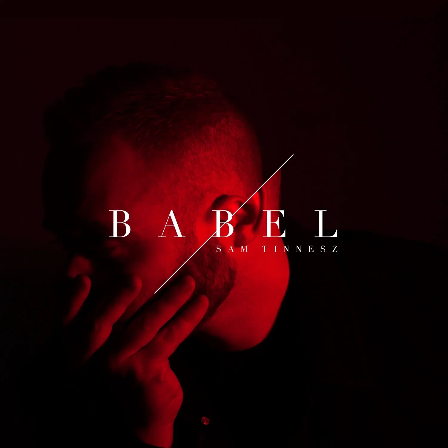 Cover art for Babel by Sam Tinnesz